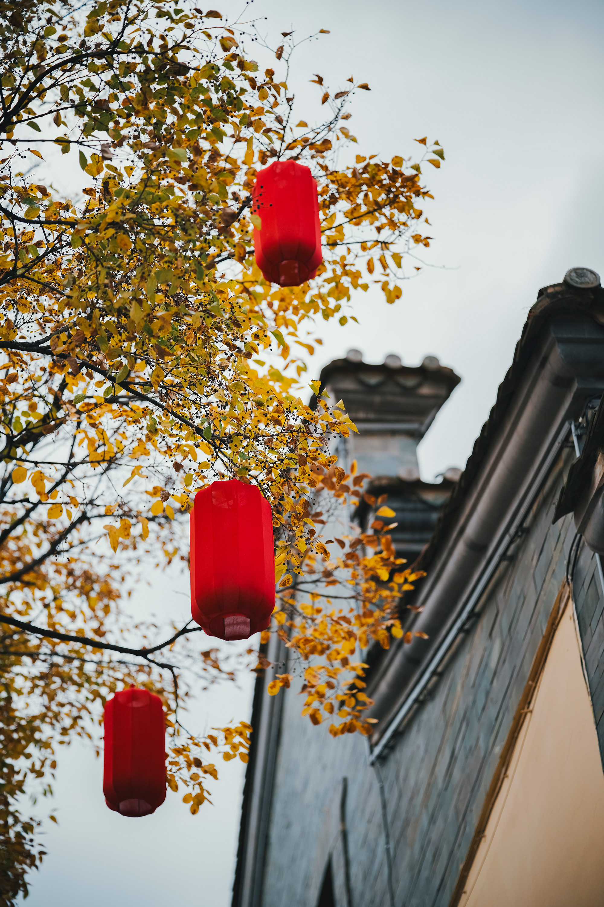 The wind from the clouds