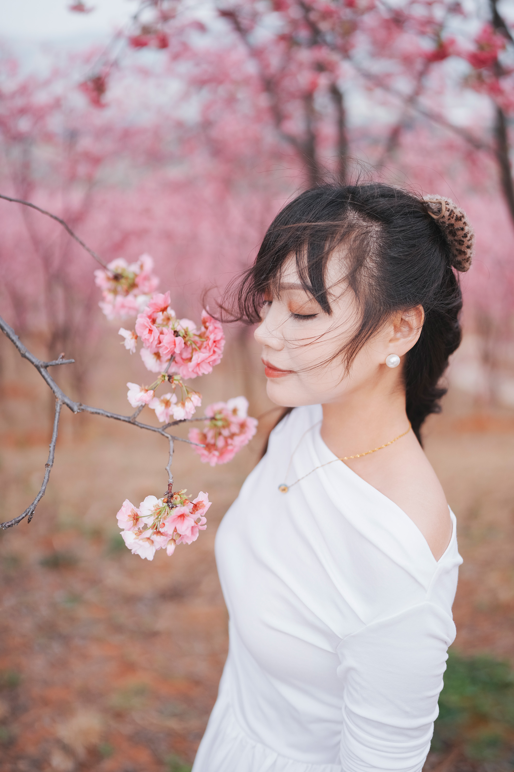 Yiliang cherry blossom valley